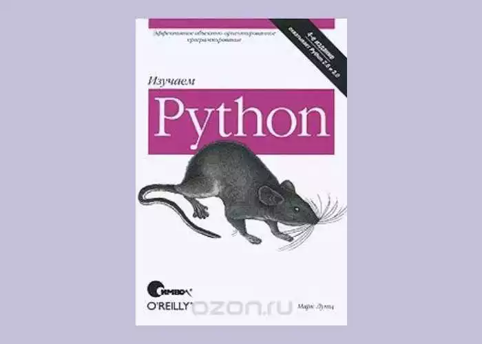 Применение Python В Веб-Разработке