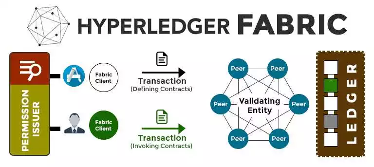 Как выбрать идеальные курсы разработки для блокчейна Hyperledger