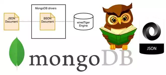 Лучшие курсы MongoDB для начинающих