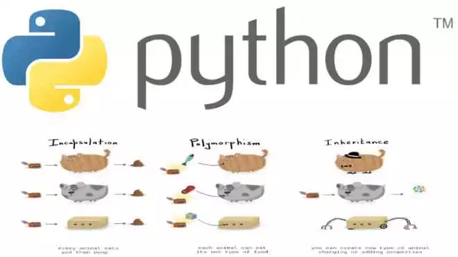Наследование и полиморфизм в Python