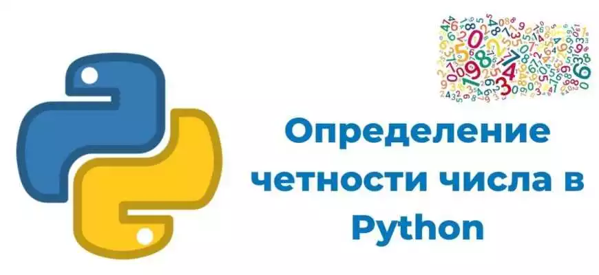 Какие Операторы Существуют В Python