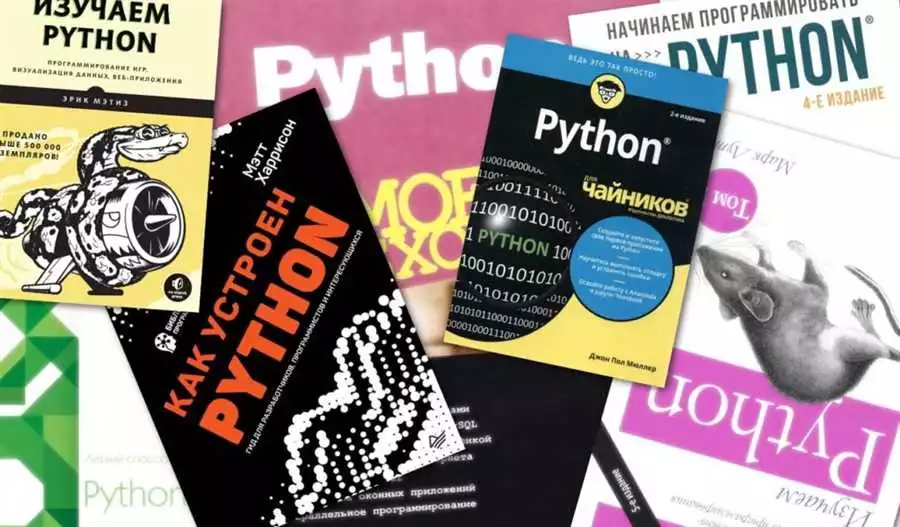 Python для новичков простое руководство по изучению программирования