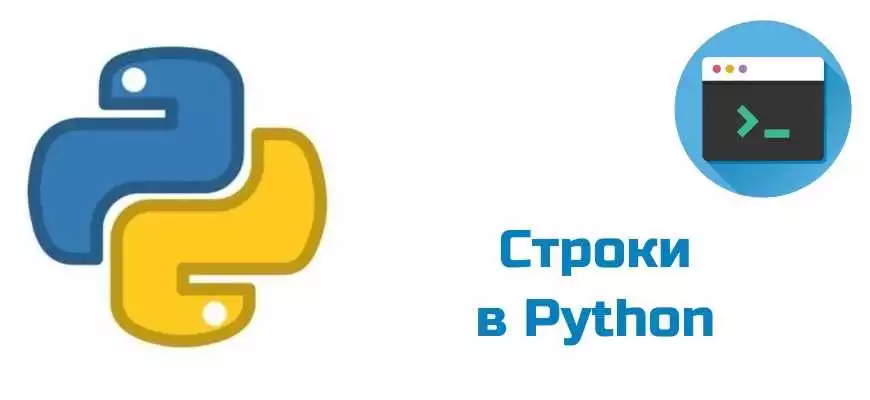Работа с данными в кортежах в Python