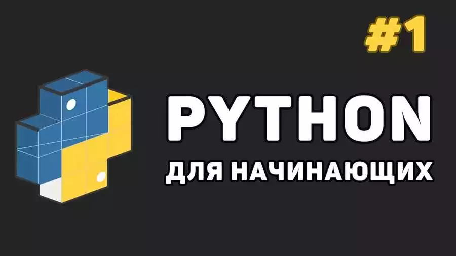 Основы Программирования На Python Для Новичков: Быстро И Легко Освоите С Помощью Видеоуроков
